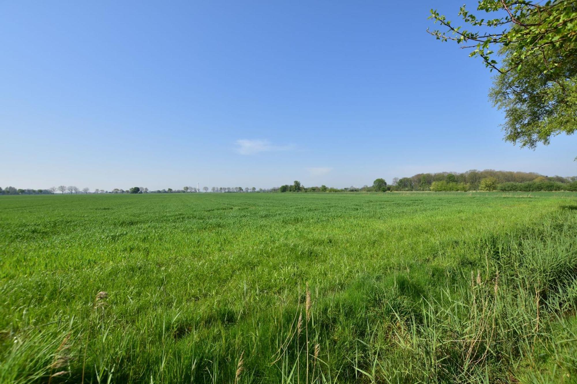 Villa Haus Juist - Schillig Esterno foto